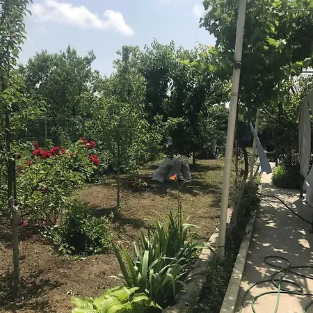 Tomis Comfort House Pansiyon Köstence